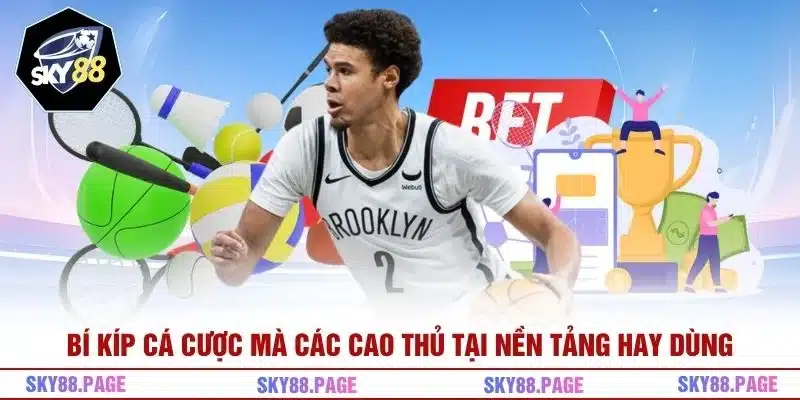 Bí kíp cá cược mà các cao thủ tại nền tảng hay dùng