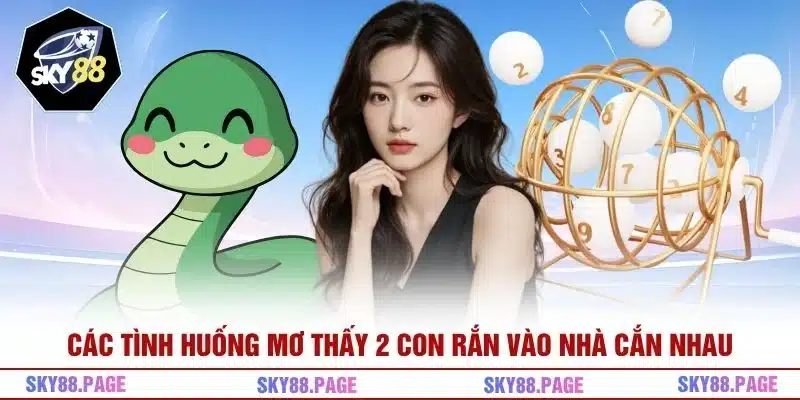 Các tình huống mơ thấy 2 con rắn vào nhà cắn nhau