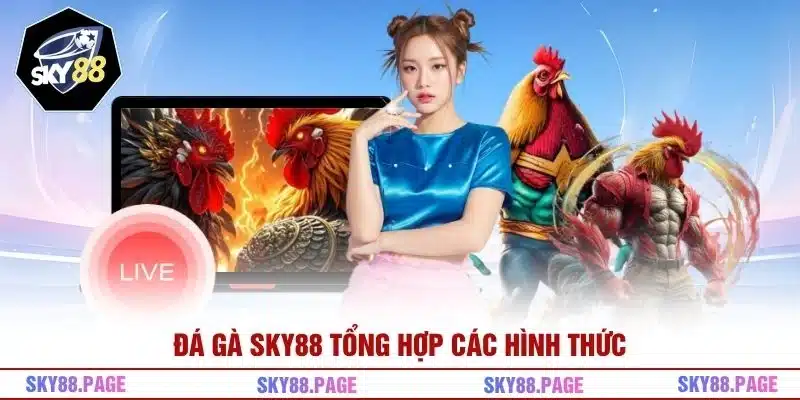 Đá gà Sky88 tổng hợp các hình thức