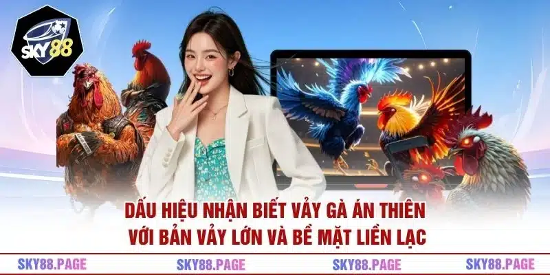 Dấu hiệu nhận biết vảy gà Án Thiên với bản vảy lớn và bề mặt liền lạc