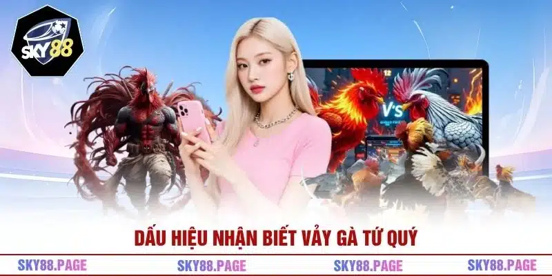 Dấu hiệu nhận biết vảy gà tứ quý