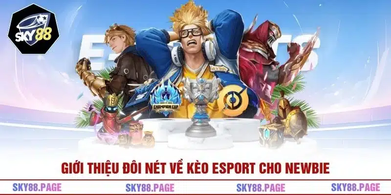 Giới thiệu đôi nét về kèo Esport cho Newbie