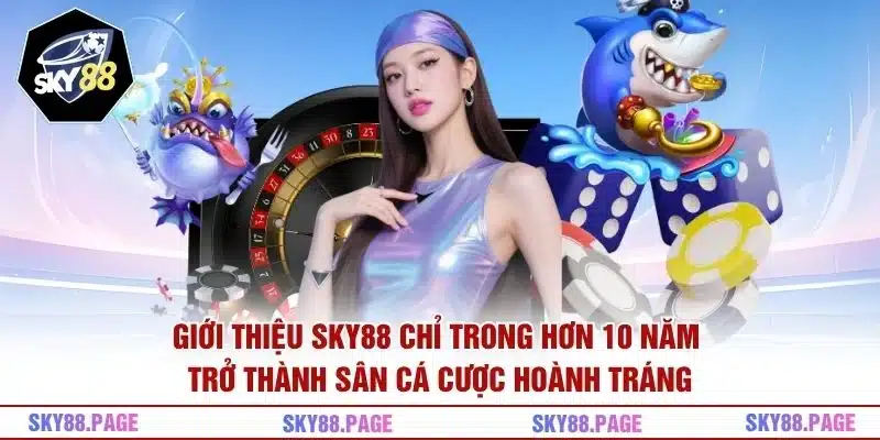 Giới thiệu Sky88 chỉ trong hơn 10 năm trở thành sân cá cược hoành tráng
