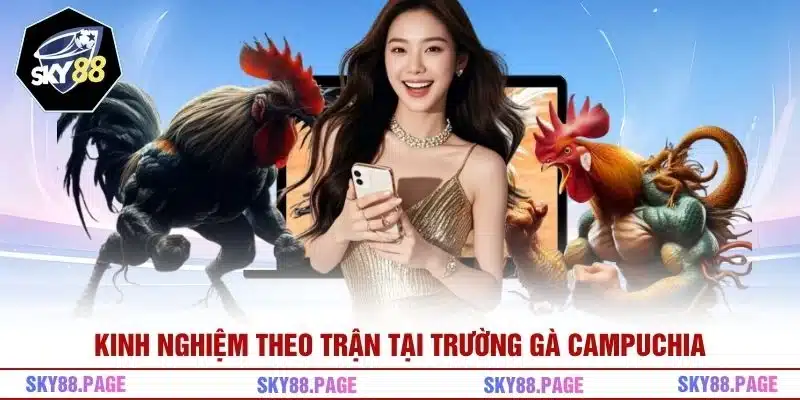 Kinh nghiệm theo trận tại trường gà Campuchia