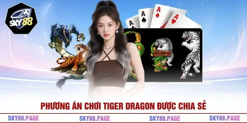 Phương án chơi Tiger Dragon được chia sẻ