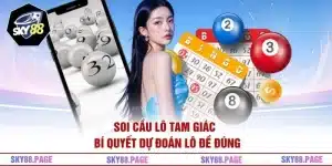 Cầu Lô Tam Giác