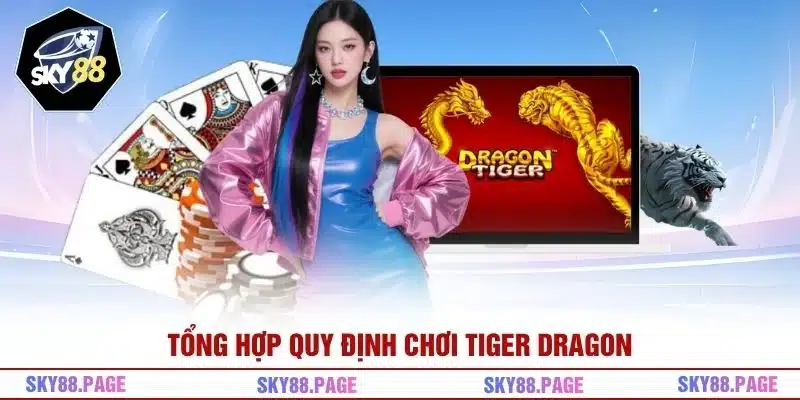 Tổng hợp quy định chơi Tiger Dragon