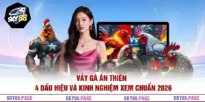 Vảy Gà Án Thiên